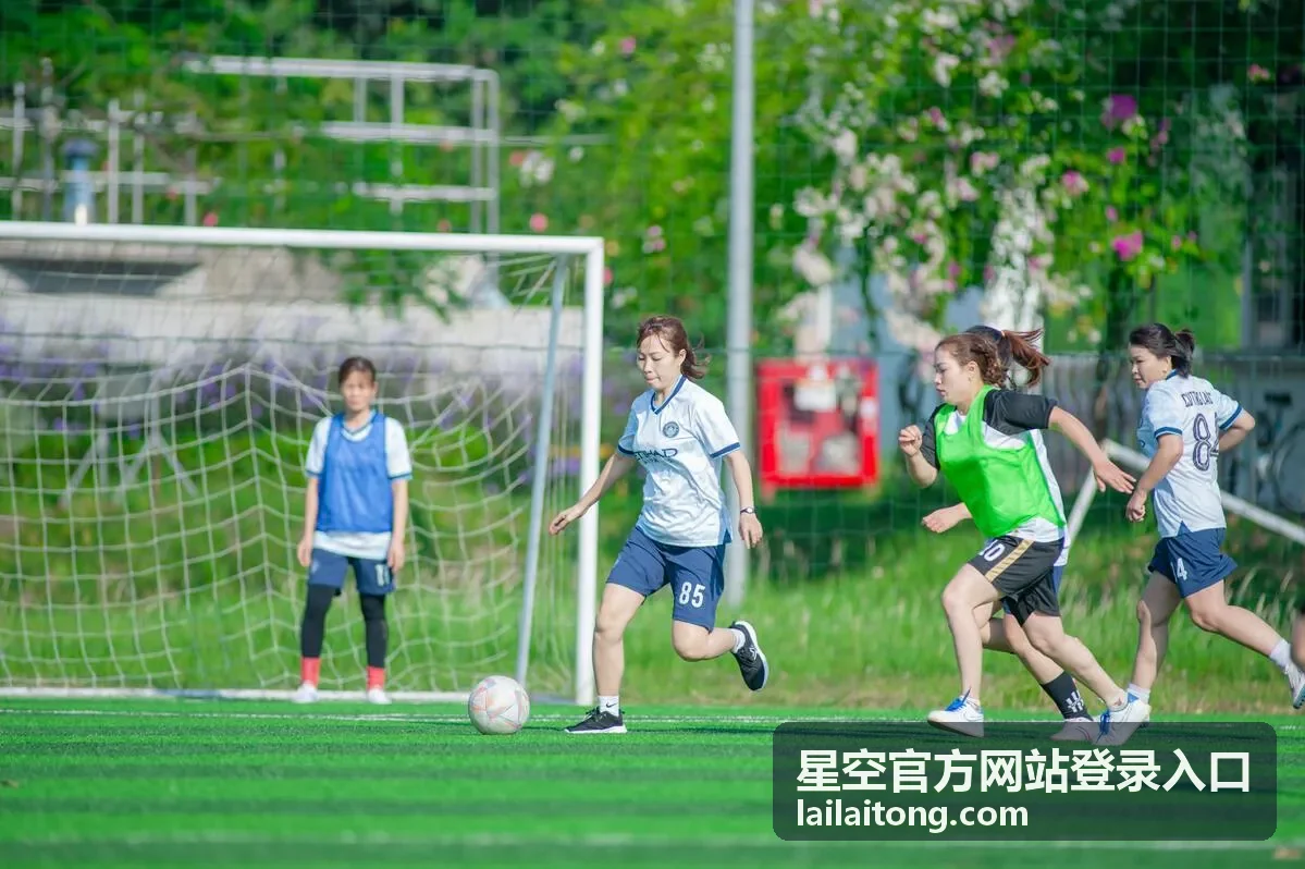 星空本周节目单与看点解析回放封面